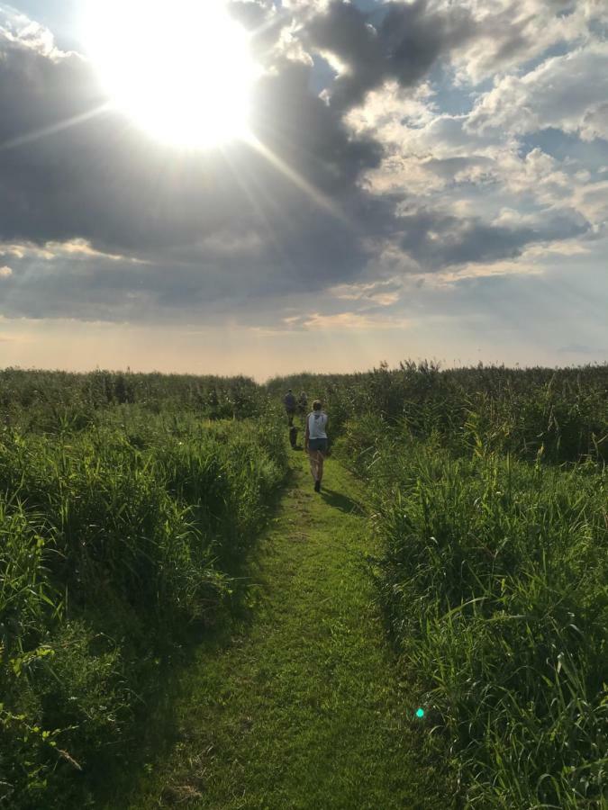 Suurkivi Nature Escape Häädemeeste Buitenkant foto